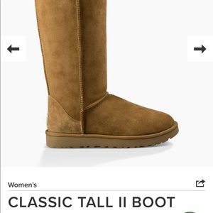 Tall UGGs